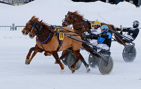 Morison piti pintansa.