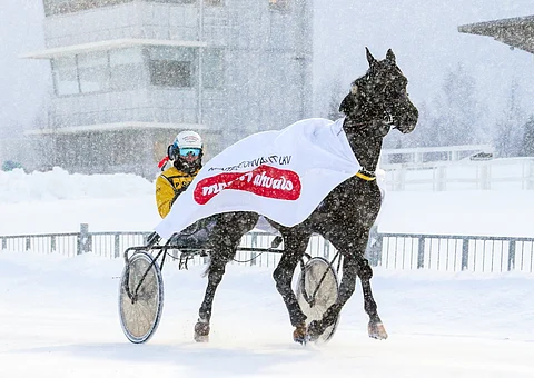 Leader Brodde on tottunut menestymään Suomen talvessa.