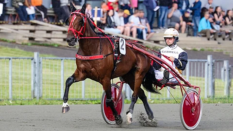 Tima's Miracle ei suostunut enää keulapaikalta häviämään.