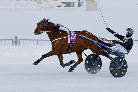Edgeuptotop avasi kautensa Joensuussa 75-voitolla pitkän kirin päätteeksi. Heikki Mikkonen ohjasti.