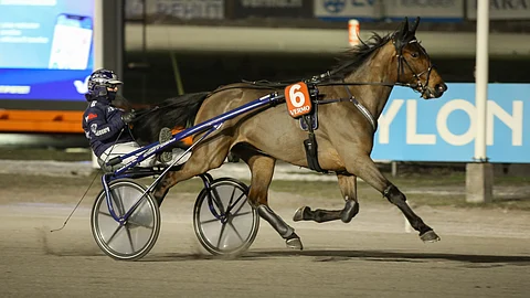 Xenia Comery ja Emma Väre ovat ideavihjeen varmoja. Emma antoi Xeania Comerystä ja tämän tallikaverista Girls With Curlssista kommentin Mobiiliheppaan. Kommentit luettavissa alla.
