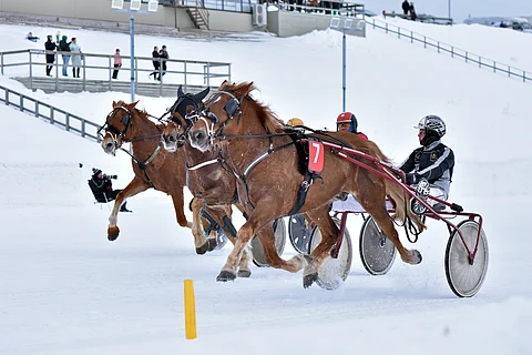 Aron Fritz juhli maaliskuussa Rovaniemen Toto75-päivänä.