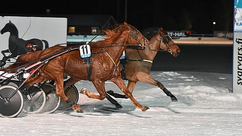 Zolaquer ja Sari Vesala pitivät ykköseksi sisäradalta ennen suosikka Callecustaata ja Santtu Raitalaa.