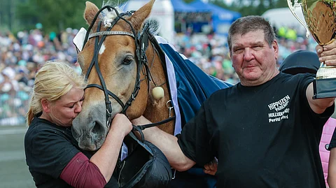 Marianne Niverin hoitama ja Pertti Niverin valmentama Hulluduunari voitti viime kesän Kuninkuusraveissa mailin osamatkan.