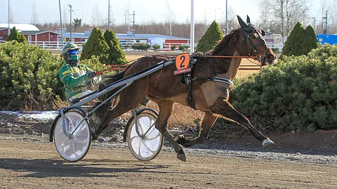 Effronte Photo on mennyt tänä vuonna hyvin, mutta vielä voitto puuttuu.