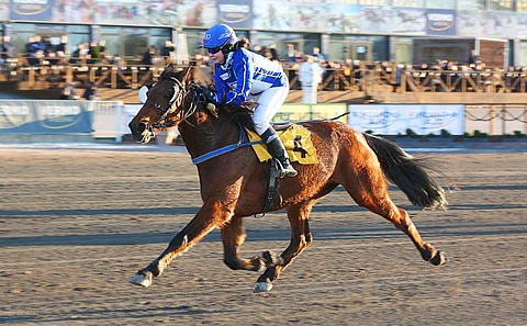 Target Kronos on yksi Lappee Grand Slamin etukäteissuosikeista.