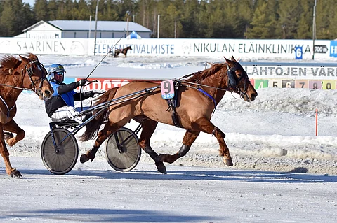 Morison tekee työnsä rehdisti maaliin saakka, ja Juha Utala sai nauttia ruunan kyydistä Pelimanni-ajon maalisuoralla.