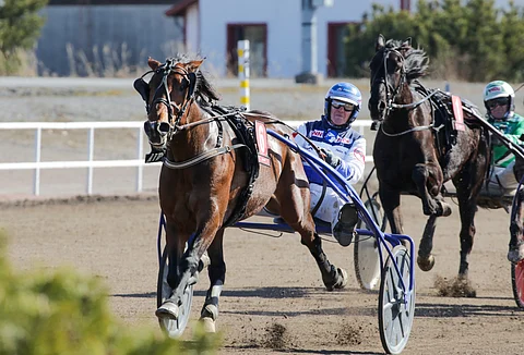 Magical Prince hakee lämminveristen Oulu Expressissä ykkösradalta koko matkan johtoa.