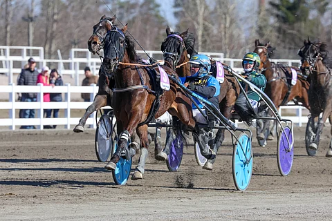 Fazimo on tottunut menestymään keulapaikalta.