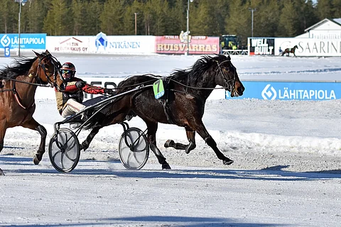 BWY Gaia piti Tuomas Pakkasen kannustamana kirihevoset aisoissa Nikulan maalisuoralla.