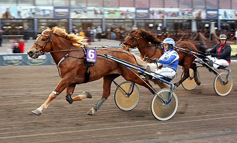 Core hallitsi keulasta ja Humiro hinautui sen kannasta kakkoseksi.