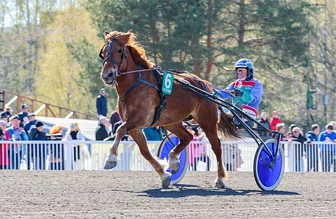 M.A. Piste vuosi sitten toukokuussa Vermossa.