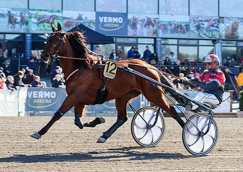 Global Beware on Harper Hanoverin suomalaistoivo.