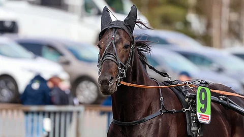 Salam Aleikum oli viimeksi kipeä.
