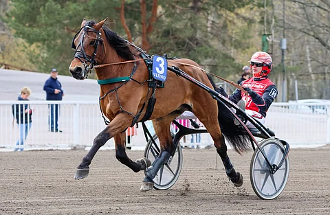 Jiiveegee on jo valmis avaamaan kauden voittosaldonsa. Santtu Raitalan ajokki kilpailee rivin päätöskohteessa.