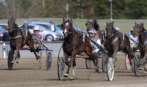 Bring It On Homen uran toistaiseksi suurin voitto tuli Forssan Tammasarjasta 29. huhtikuuta.