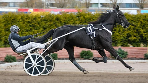 Truedream A.F. ja Mika Taittonen avaavat kautensa Lahdessa.