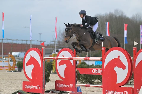 New Yorker T on luonnostaan nopea. Nyt tuli voitto 140-luokassa CSI3*-kisoissa.