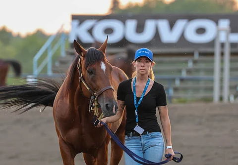Go On Boy nähtiin myös viime vuonna Kouvolassa.