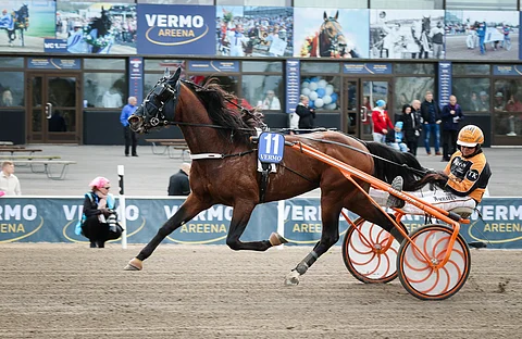 Tommi Kylliäisen valmentama Furioso Wohlrab osallistuu ensimmäistä kertaa Suur-Hollola-ajoon. Valmentaja näkee kaiken onnistuessa jopa sijoituksen neljän parhaan joukossa mahdollisena.