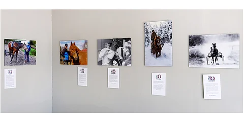 Arkea ja juhlaa hevosten kanssa.