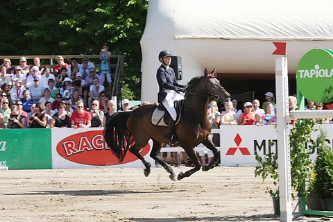 Hangossa aurinko paistaa ja hiekka on kuumaa, mutta vanhat lehmukset reunustavat kenttää.  Jenny Heinekamp ja Vlas.