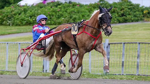 Veijo Lipposen suojatti Liisinko on vihjeen idea.