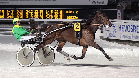 Reijo Tauriainen tunnetaan kuvassa olevan Thelma Zetin takaa. Nyt hän ajaa tamman ensimmäistä varsaa vihjeen ideavarmana.