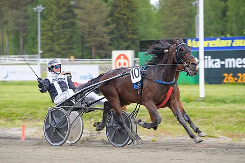 Heikki Mikkonen tuulettaa hienovireisen Negroamaron kolmatta peräkkäistä voittoa tiistaina Kuopiossa.