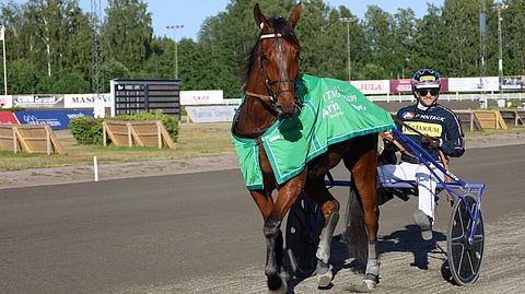 Kinglet Bird lunasti karsinnoista huippupaikan E3-finaaliin.