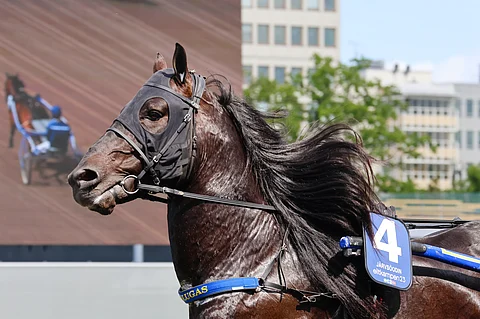 Järvsöodin ravasi Bergsåkerissa Ruotsin mestariksi.