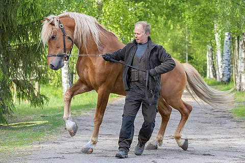 Juha Lindroosin valmentama Vonkari on yksi kolmesta tukipilarista.