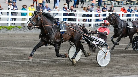 Harjujen Roomeo starttaa Kajaanin jälkeen Mikkelissä lauantaina.