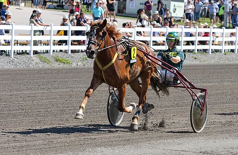 Neiti Sävel on aloittanut uransa lupaavasti. Kuva kesältä Mikkelistä.