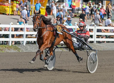 Tapio Perttunen uskoo vahvasti Global Bewaren riittävän myös Ruotsin Hopeadivisioonassa.