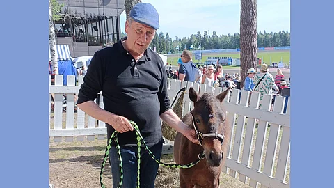 Seppo Suuronen ja tallin uusin tulokas Peter The Great.