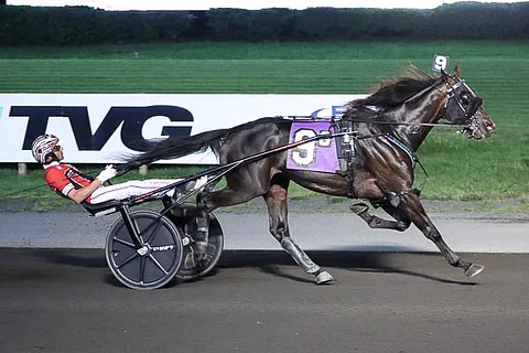 Ari Ferrari J ja Dexter Dunn ottivat Tompkins-Geers-divisioonasta toisen peräkkäisen suurkilpailuvoiton. Kuva: