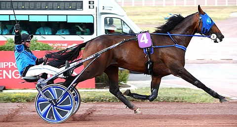 Etonnant voittaa Prix de Washingtonin, Barrier tuulettaa.