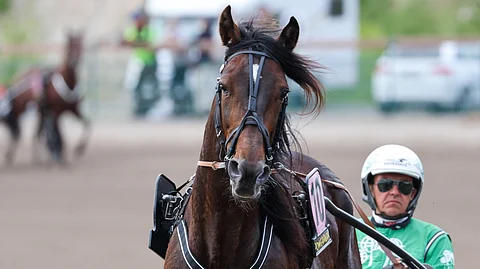 President Lindy ja Niko Jokela ovat avauskohteen ideavarmoja.