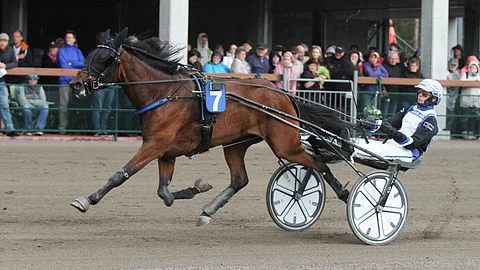 Power Swirl on rivin toinen varma.