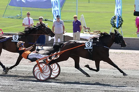 Star Angus jatkaa kilpauraansa Tero Pohjolaisen valmennuksessa.