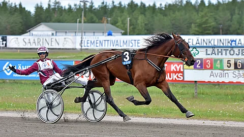 Careless Guy ravasi Toto75-voittoon viime kesänä Kaustisella Tino Keväänrannan ohjastamana. Viitossuosikkina Careless Guy on tänään sopivan vähän luotettu.