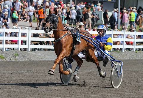 Lumettaja on Terho Rautiaisen tallin ykkösnimi.
