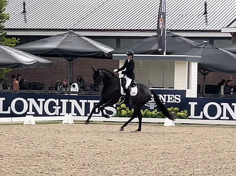 Anne Keinonen ja tamma Nymphia isiensä maassa Hollannissa.