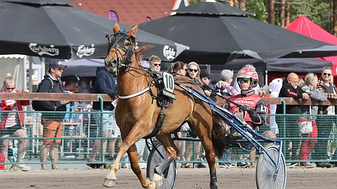 Lakan Leijan paluu saattaa mennä ensi vuodelle.