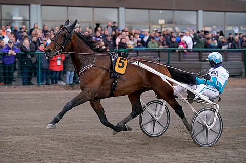Call Me Keeper voitti Seinäjoki-ajon vuonna 2018.