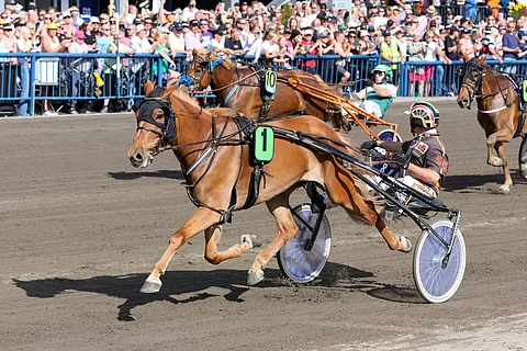 Harri Kotilaisella oli Lumi-Oosan rattailla aikaa mittailla, miten kauas muut jäivät.