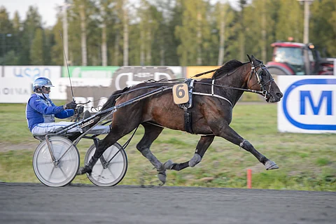 Jarmo Saarela tarjosi Cartivet Meetingin finaalissa Bergelmirille onnistuneen reissun, minkä 6-vuotias ruuna palkitsi komealla kirivoitolla.