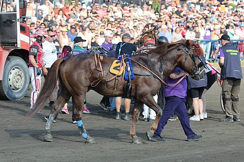 Evartti ei loukkaantunut onnettomuudessa.