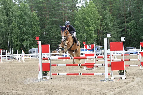 Mattilan Toivo edustaa ainoana hallitsevia mitalisteja.